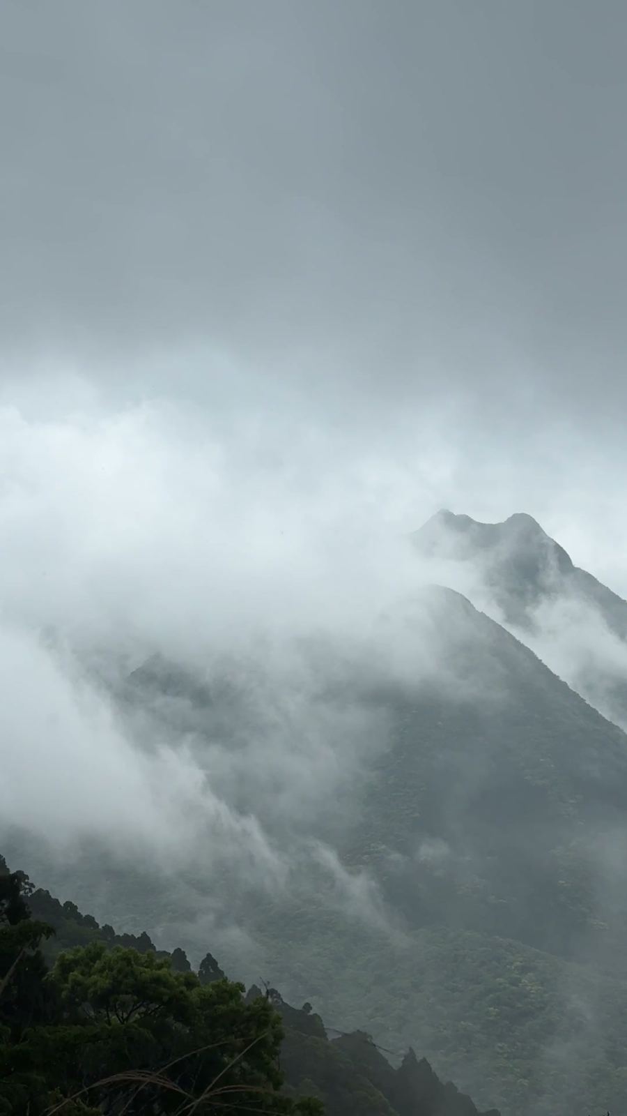 霧が流れる山の稜線