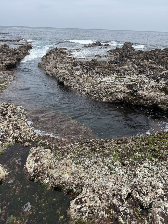 岩礁の海岸