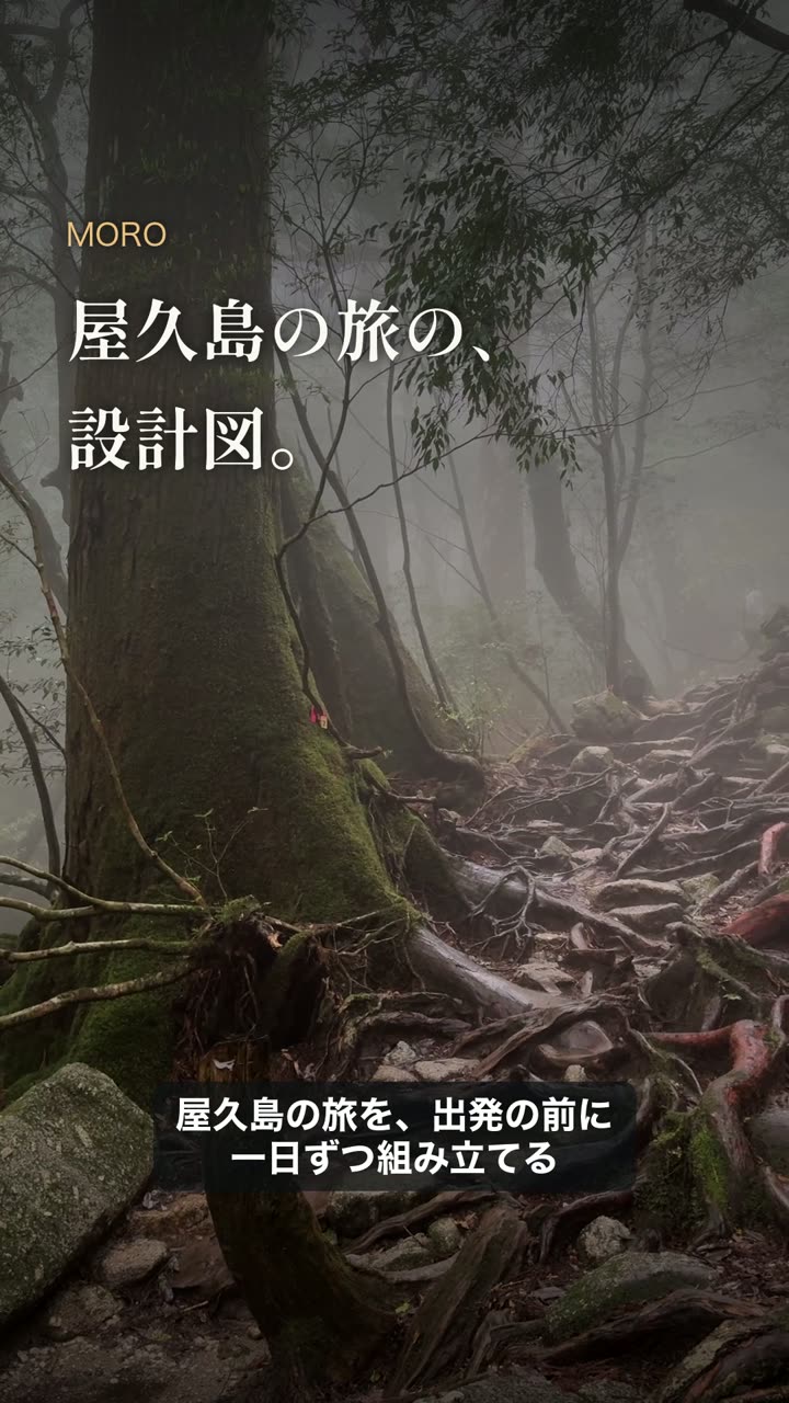 旅の設計の説明動画の最初の場面（霧の森と「屋久島の旅の、設計図。」の文字）