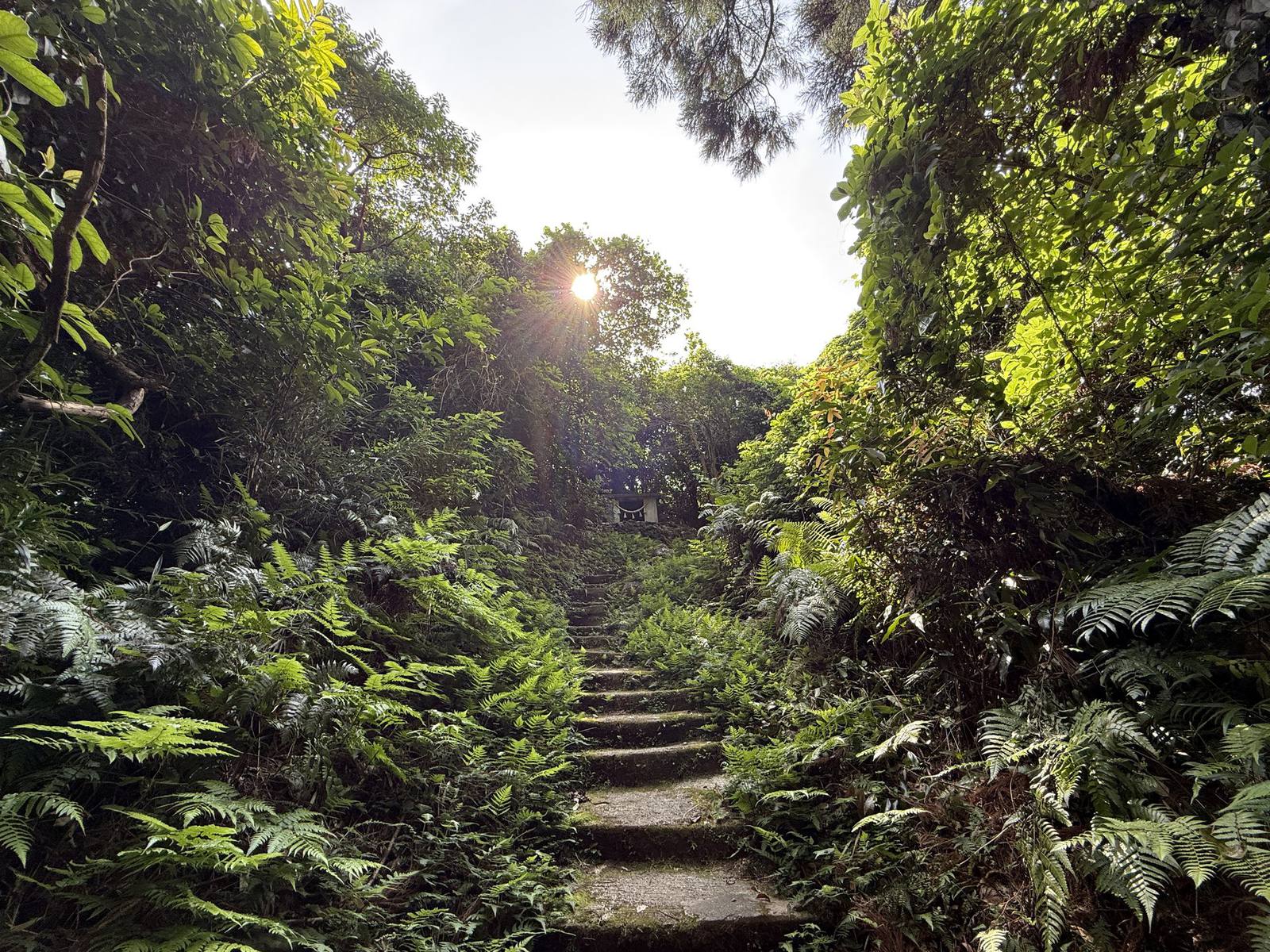 夕暮れの屋久島